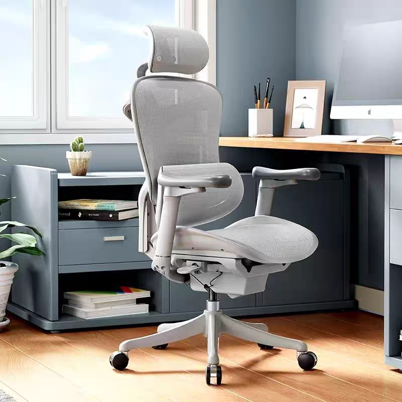 Sihoo DORO C300 Modern Executive Ergonomic Office Mesh Chair Leanback