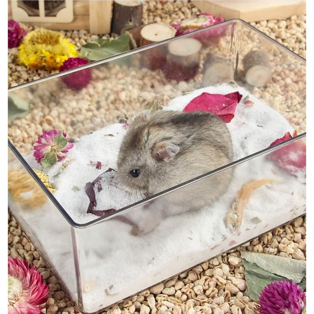 Toilet Litter Tray Box for Mouse Rat hamster mice. | Shopee Malaysia