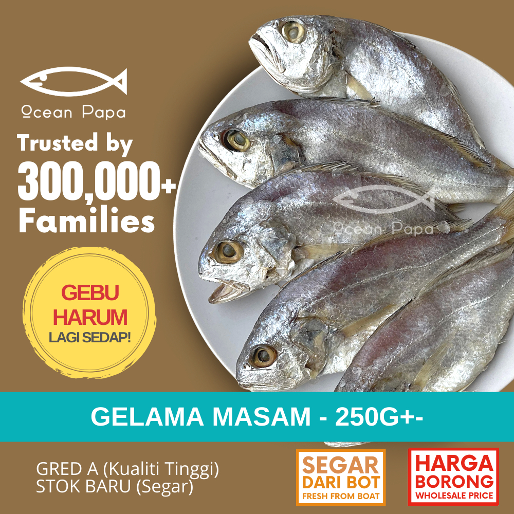 Ocean Papa Ikan Masin Gelama Masam 250g Tengkerong Masam 300g