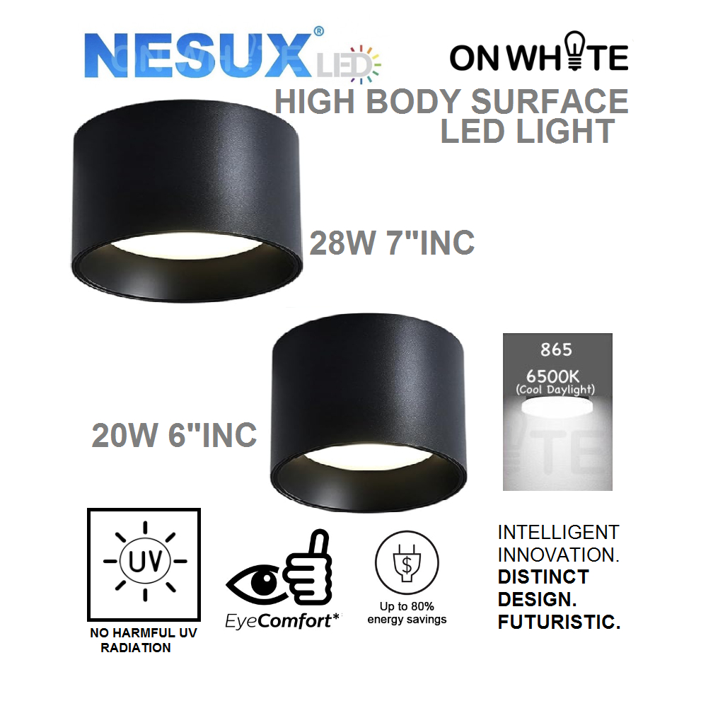 NESUX LED SURFACE DOWN LIGHT 20W 6
