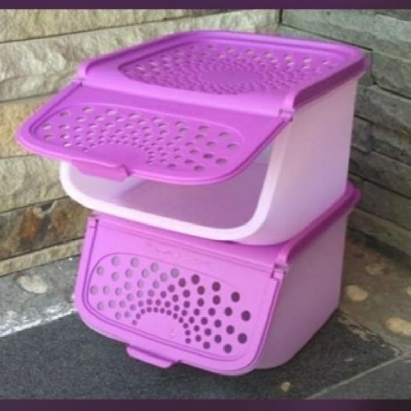 TUPPERWARE ACCESS MATE/GARLIC KEEPER 2.3L Shopee Malaysia