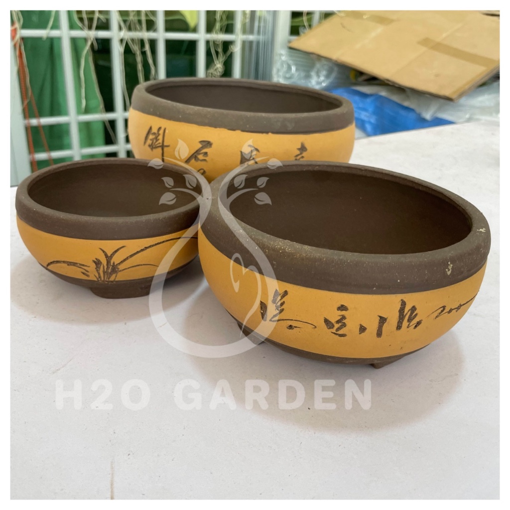 H2o bonsai pot orange brown oval shape shopee malaysia
