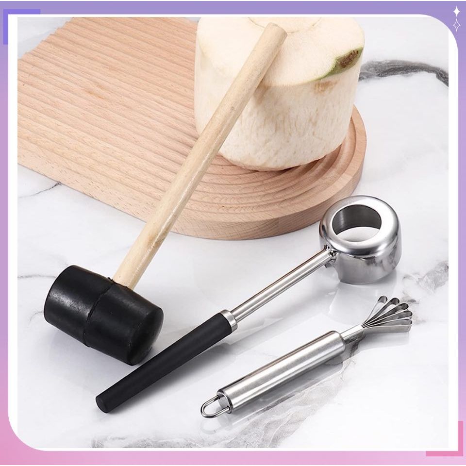 (B15-B17) Coconuts Opening Tool Young & Mature With Hammer Coconuts ...