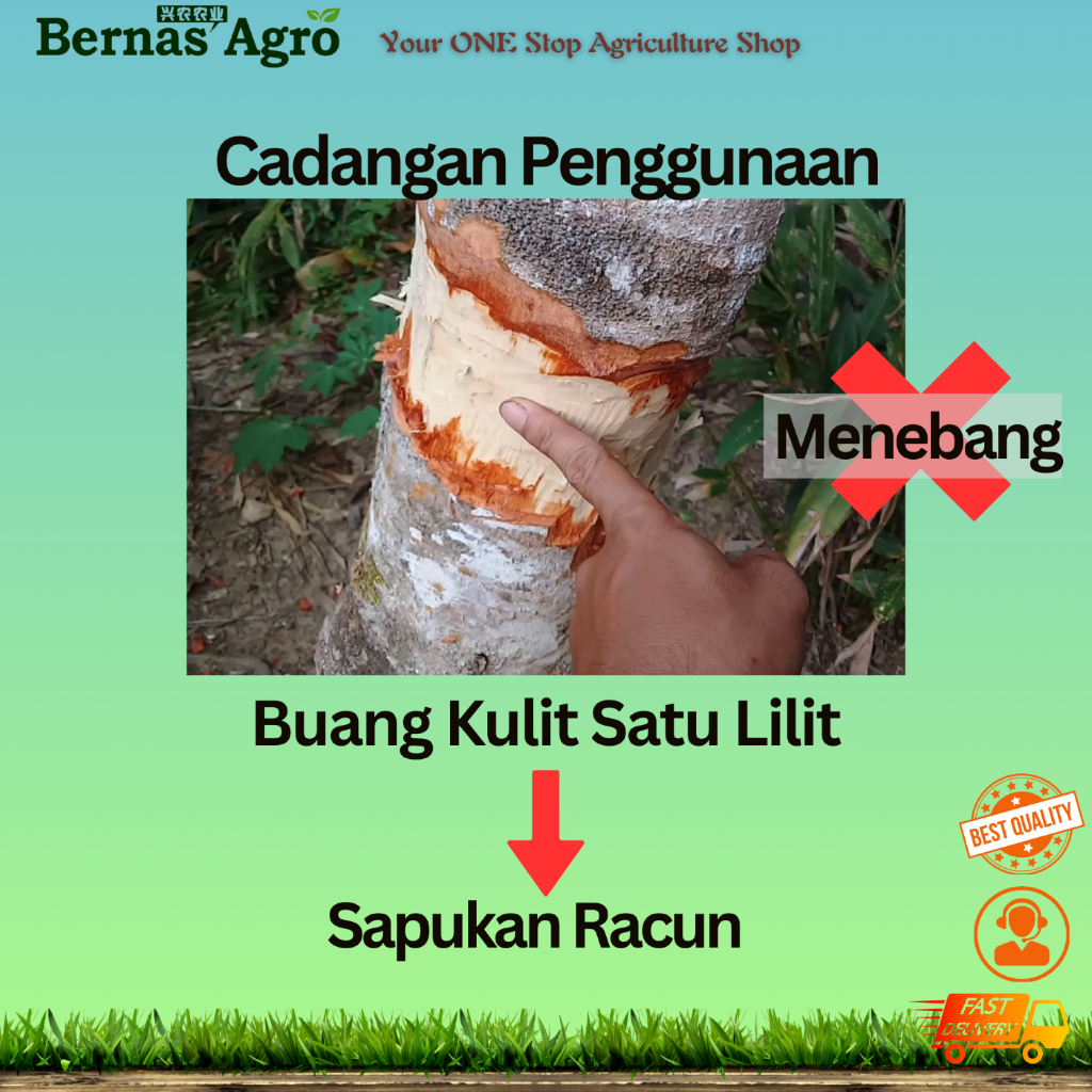 Tri Ester 32 Racun Rumput Serap Matikan Akar Pokok Kayu Besar Ubat ...