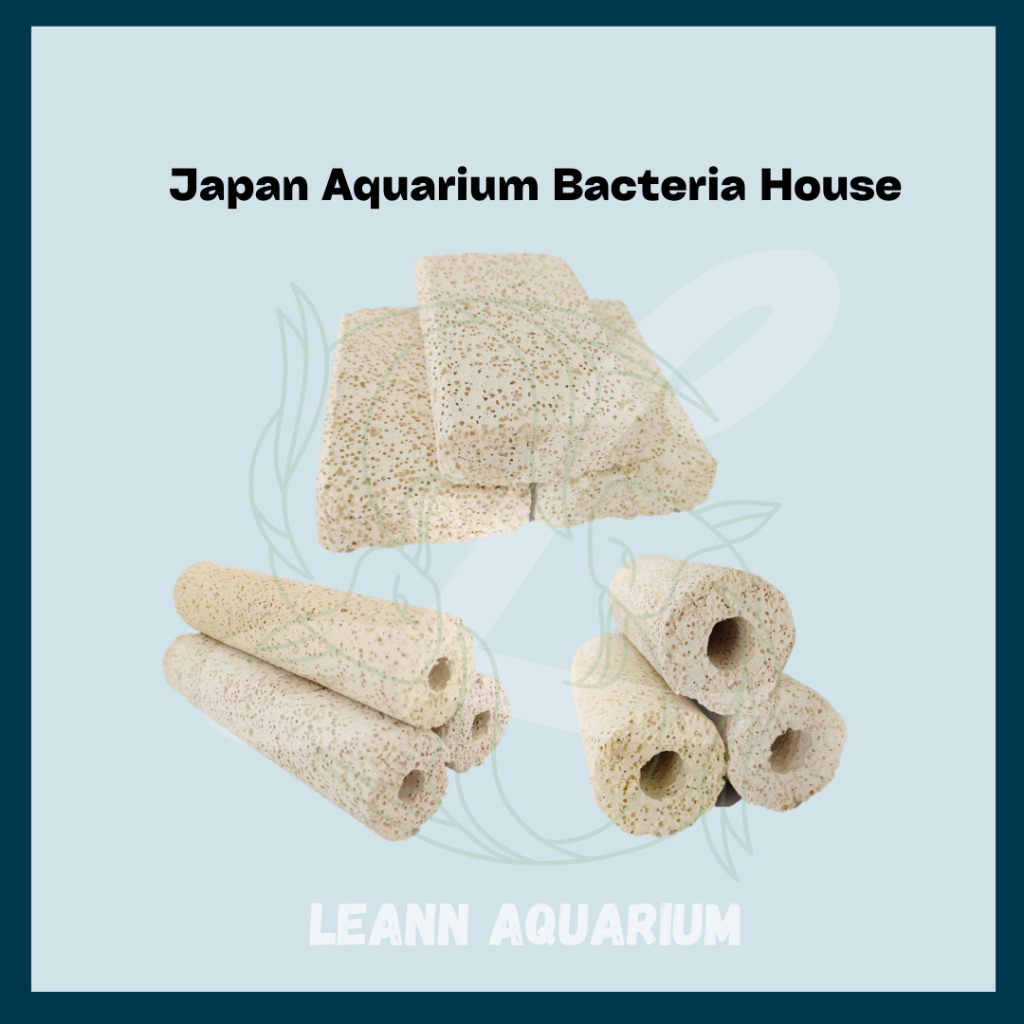 🔥HOT🔥 Japan Aquarium Bacteria House | Shopee Malaysia