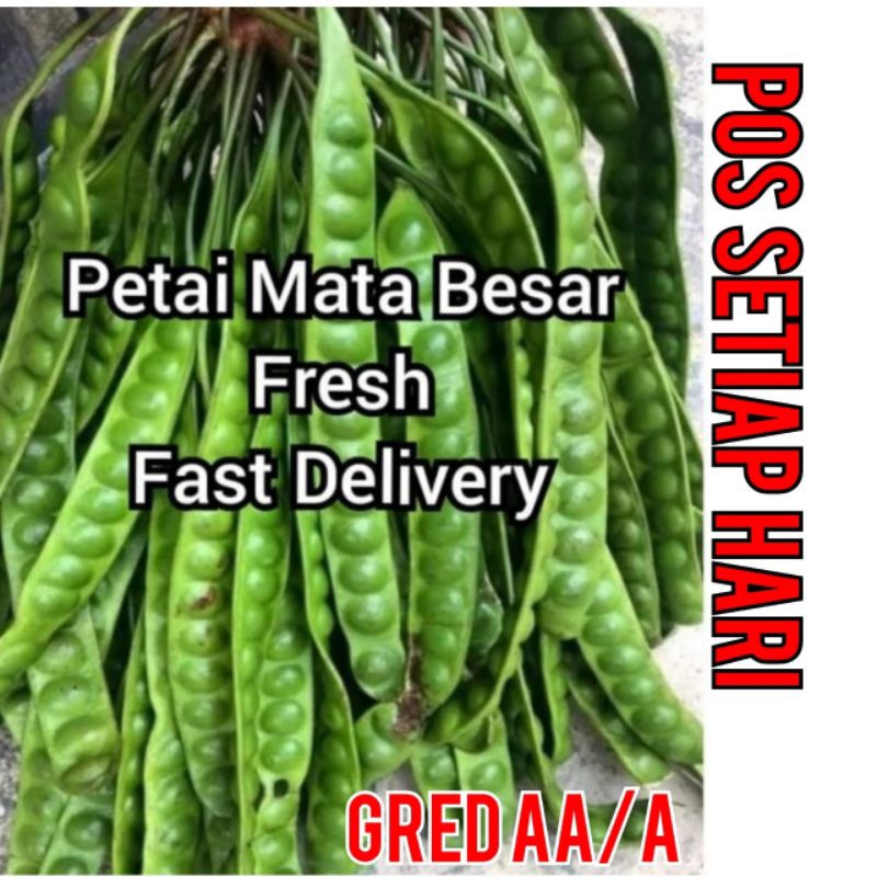 SALE‼️PETAI BIJI BESAR 1 KEPING KEPING STOK BARU GRED A DARI KEBUN ...
