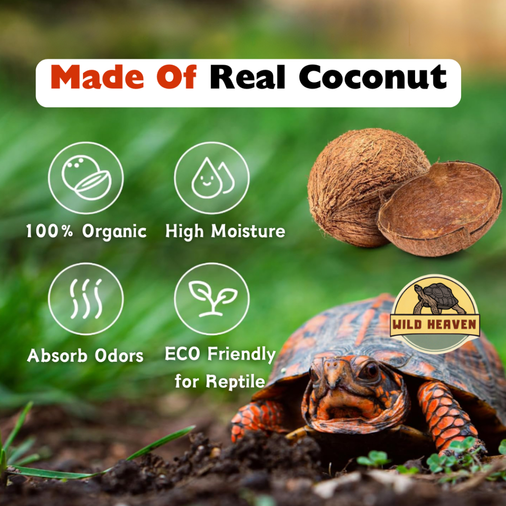 ReReptile Coco Peat Bedding Coconut Husk Soil Substrate Litter Tortoise ...