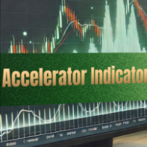 Accelerator Indicator V1.0 | Shopee Malaysia