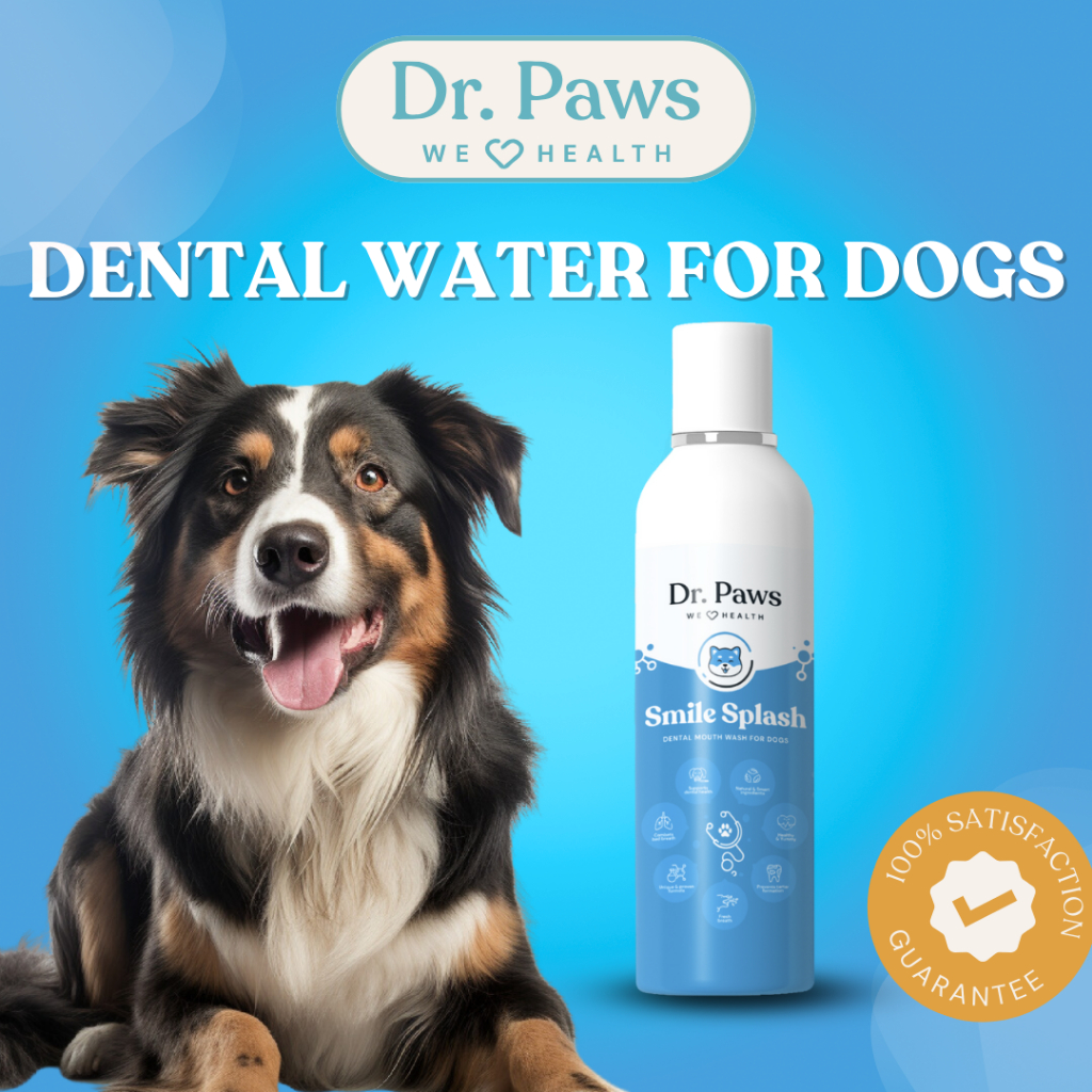 Dr Paws Smile Splash Dental Water for Dogs Shopee Malaysia