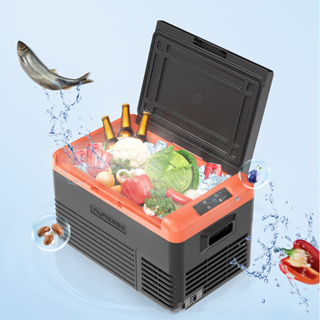 Buy fridge 40l Online With Best Price, Feb 2024
