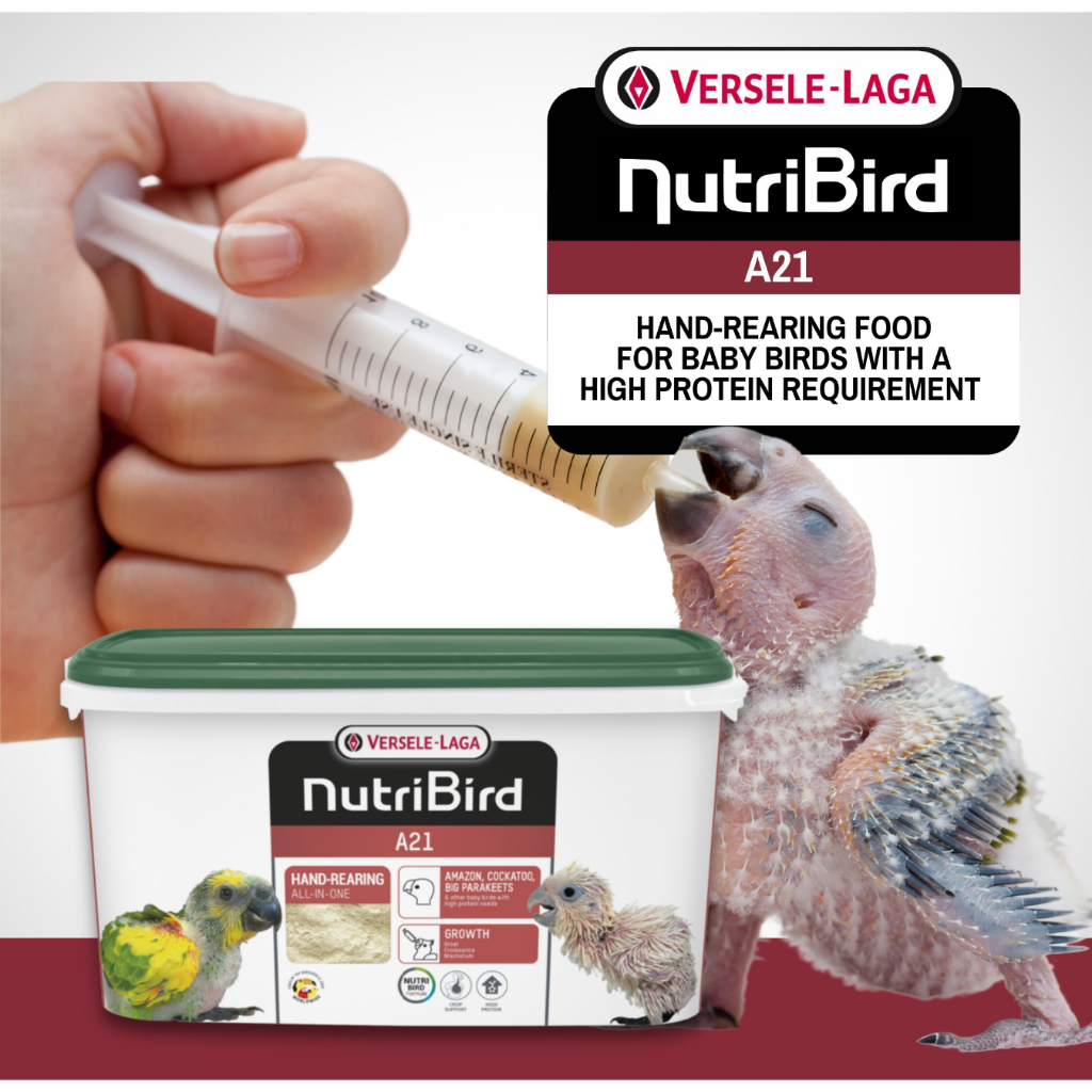 (REPACK) VERSELELAGA NutriBird A21 Hand rearing food for amazons