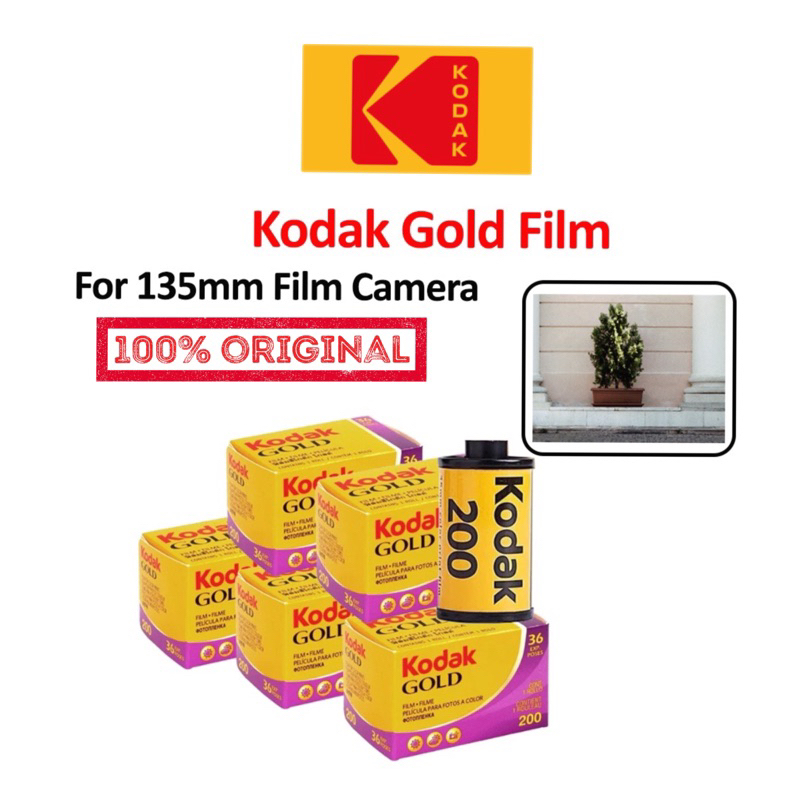 Kodak Gold 200 Color Negative Film Roll Film/36 Exposures Color Film