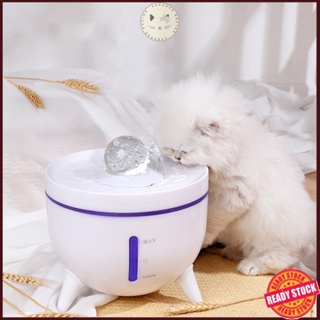 Automatic water feeder outlet for cats