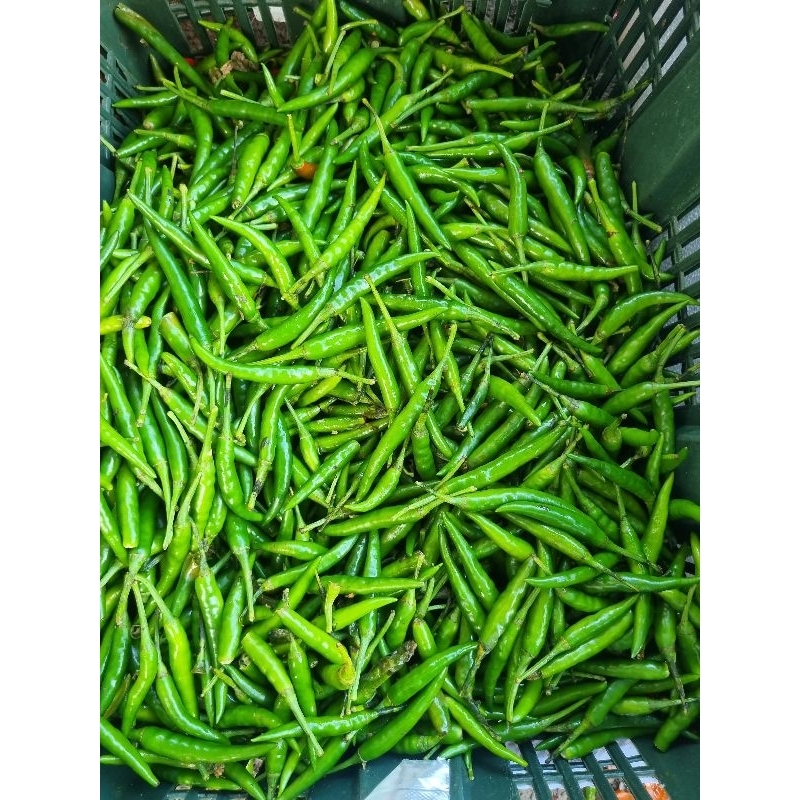 Cili Hijau Green Chilli Segar Dari Ladang Shopee Malaysia