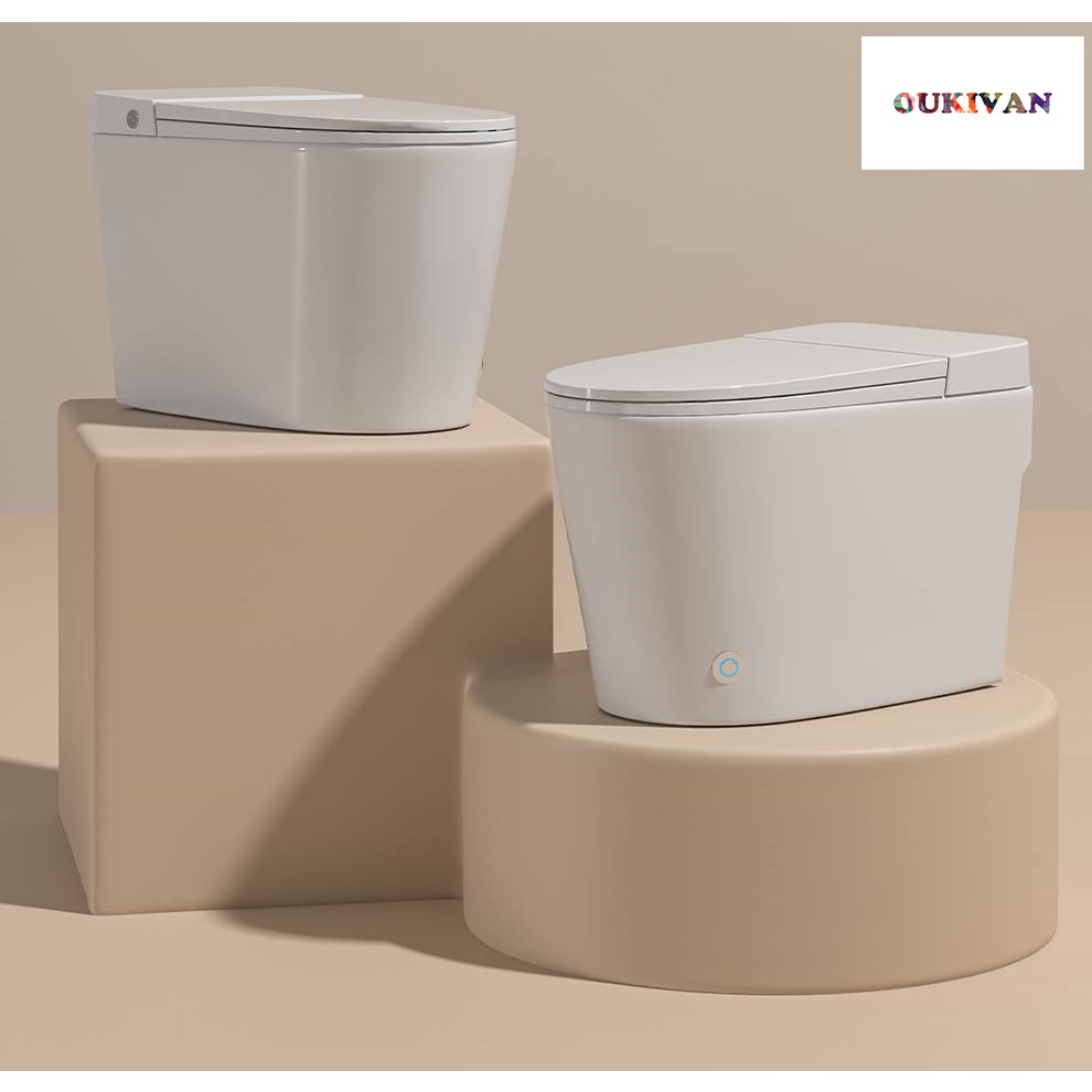 Smart Sitting Toilet Ceramic Dual Control Flushing Water Tankless