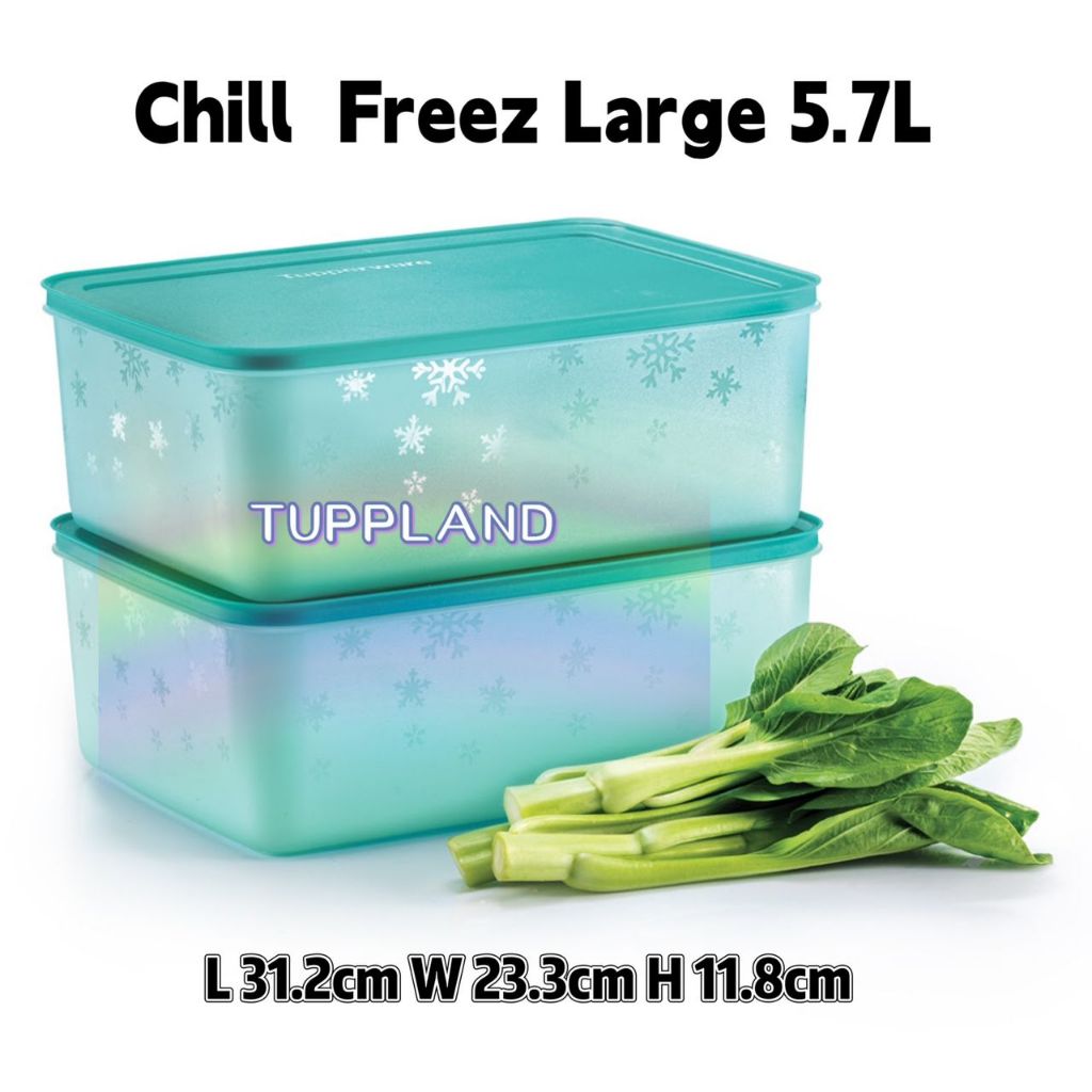Tupperware Chill Freez Large (1) 5.7L | Shopee Malaysia
