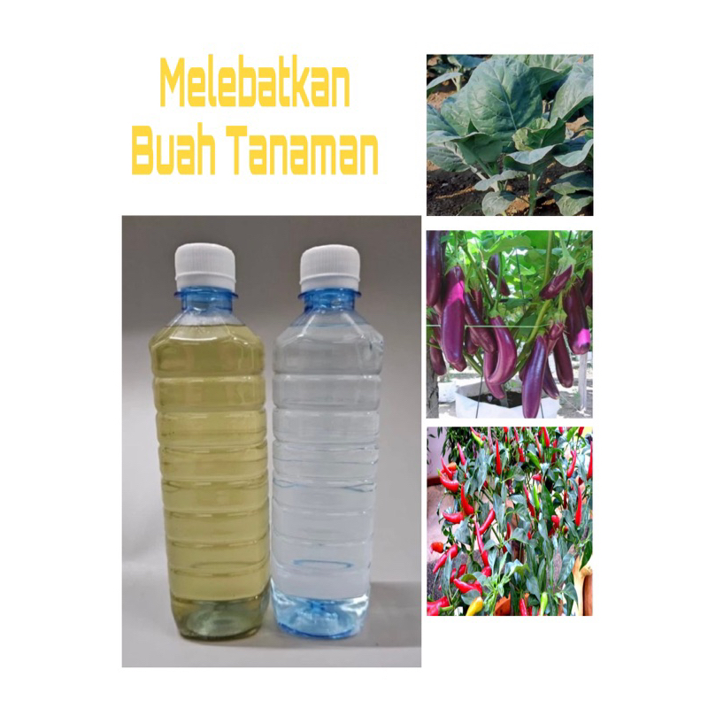 ⭐️ BAJA LARUTAN AB ⭐️1 LITER (A-500ml + B-500ml Untuk Bancuhan BAJA ...