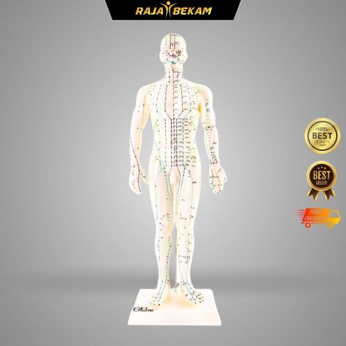 BEST SELLER !! MALE/PEREMPAUN-RECOMMENDED ACUPUNCTURE SCULPTURE [FREE 5 ...