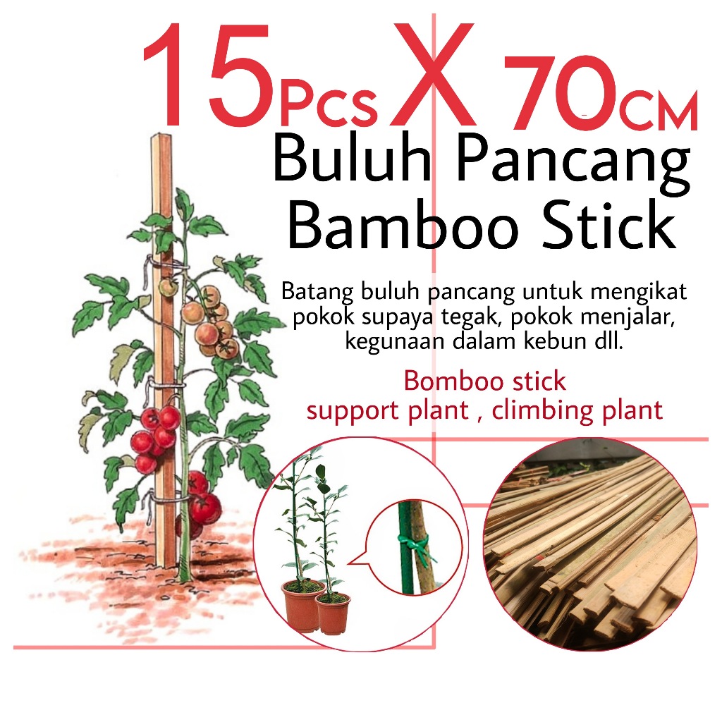 70cm X15pcs Bamboo stick stake Batang buluh pancang support plants home ...