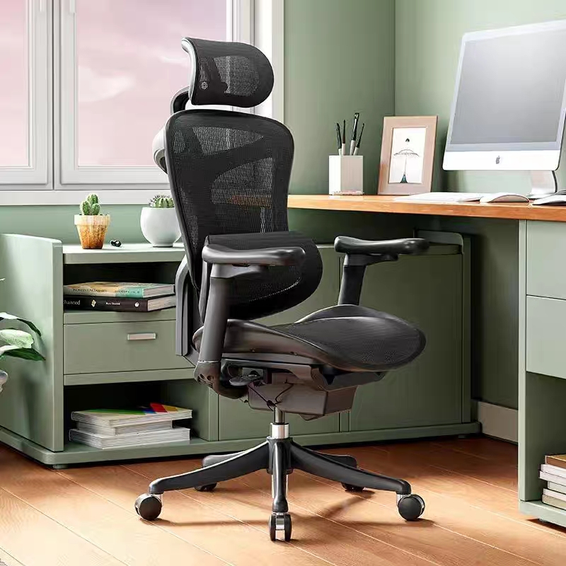 Sihoo DORO C300 Modern Executive Ergonomic Office Mesh Chair Leanback