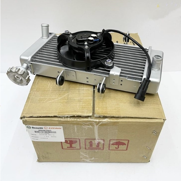 (100% ORIGINAL) BENELLI RFS150 RADIATOR ASSY // 279124410000 RADIATER ...