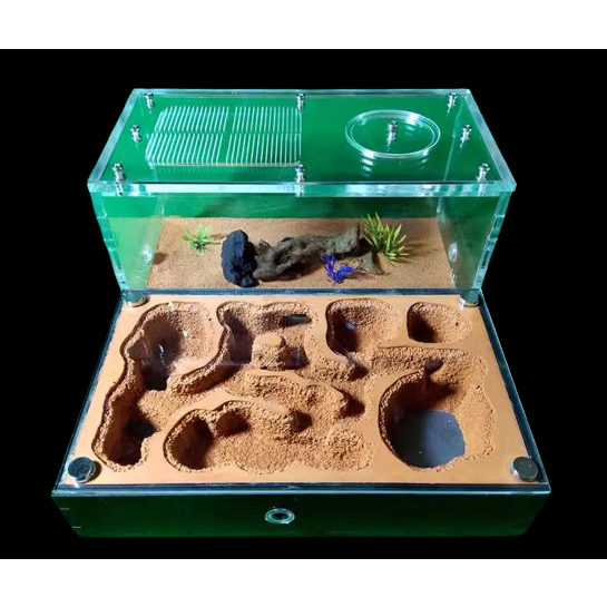 Ant Farm Grout Nest Double Water Tower Pet Ant Farm Nest Birthday Gift ...