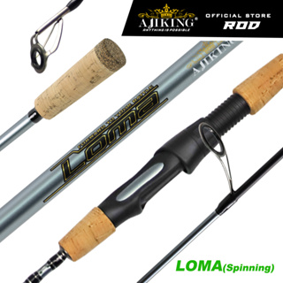 Ajiking Surf King RD Surf Fishing Rod (Max Load 35kg/13ft-15ft