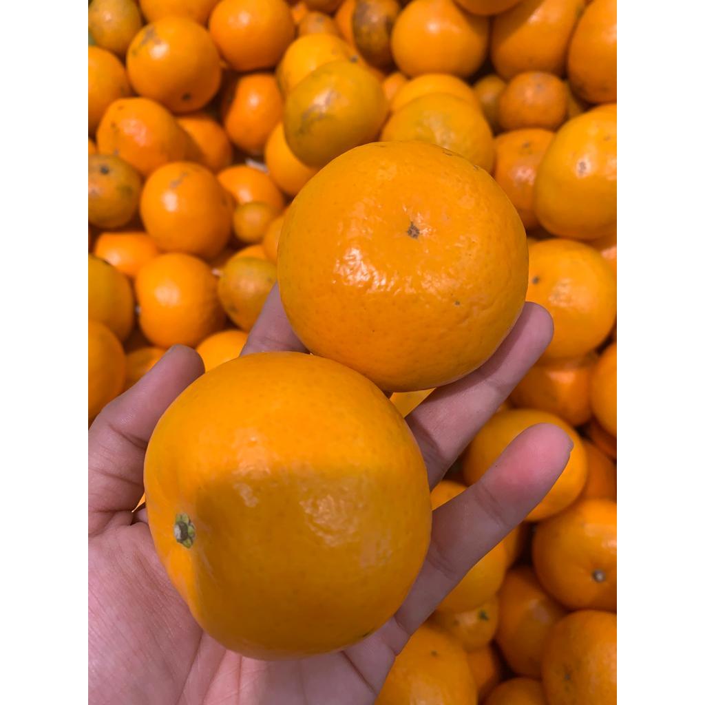 Tangerin Mandarin Mini 1kg | Shopee Malaysia