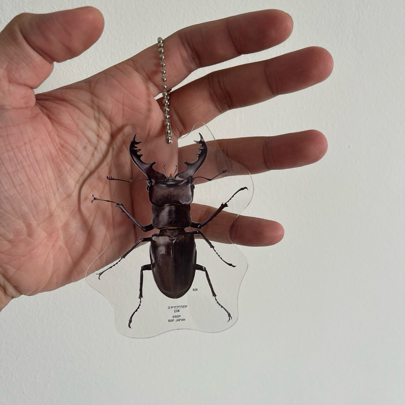 Bandai coleoptera insect keychain look like real | Shopee Malaysia