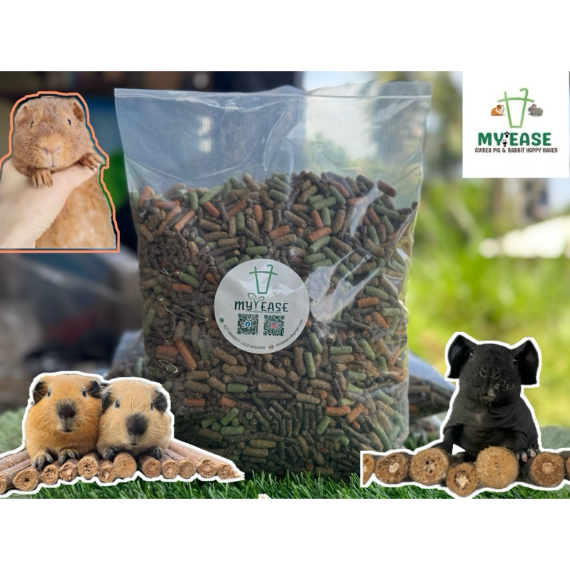 Picture of MY EASE GUINEA PIG FOOD CAVY FOOD (MAIN PELLET) Dry Food 1KG | Shopee ...