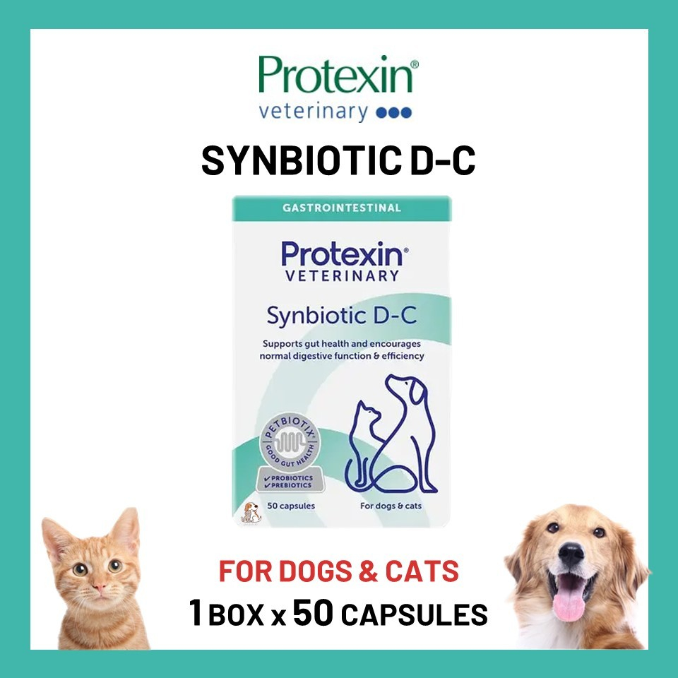 Synbiotic D-C Probiotics & Prebiotics Daily Capsule For DOG & CAT (50 ...
