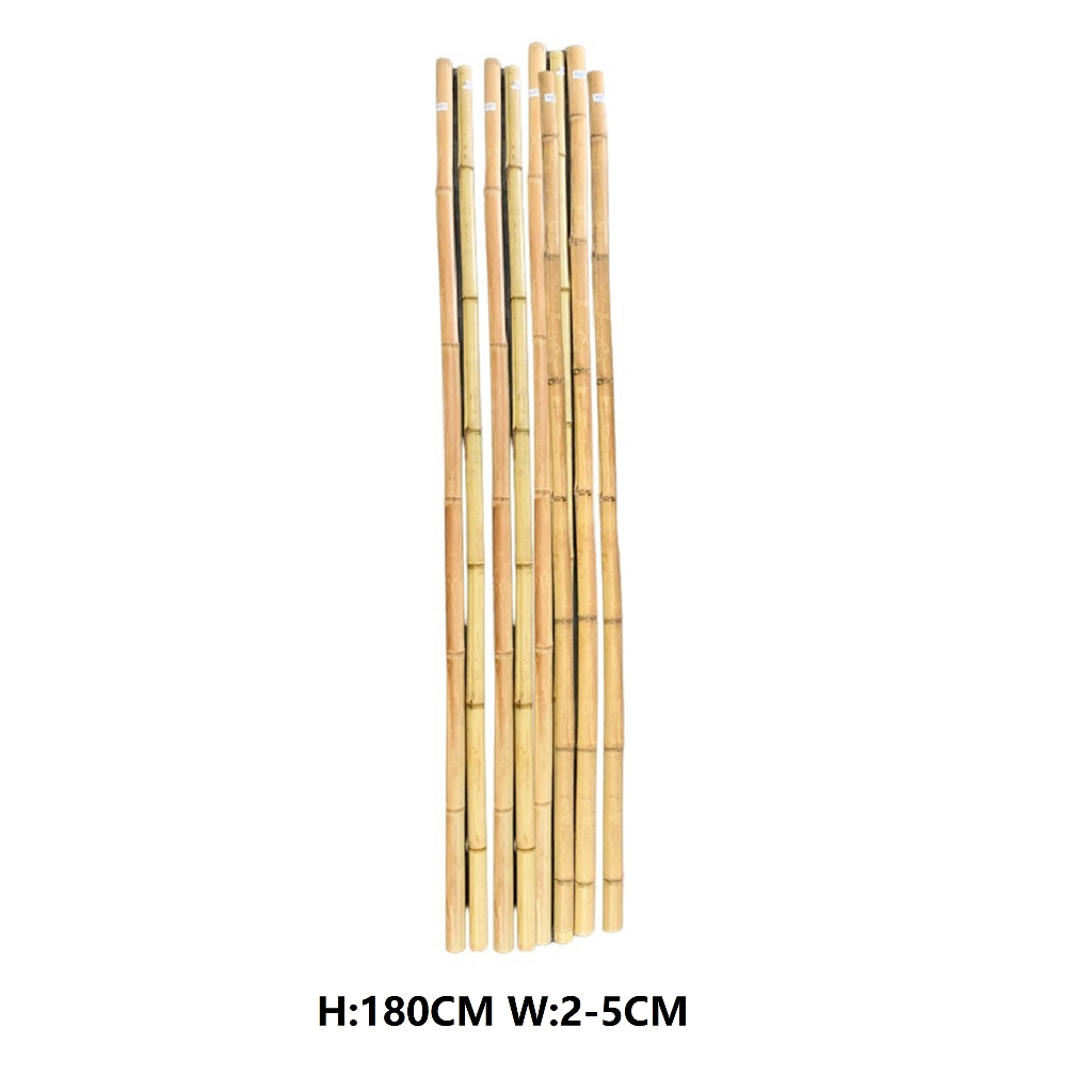 6Feet Bamboo Stick For Decoration Batang Buluh 竹棍 180cm 1PCS | Shopee ...