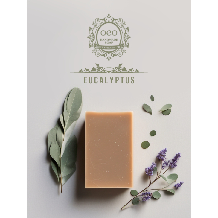 Natural Handmade Soap Cold Process Soap infused with Eucalyptus ...