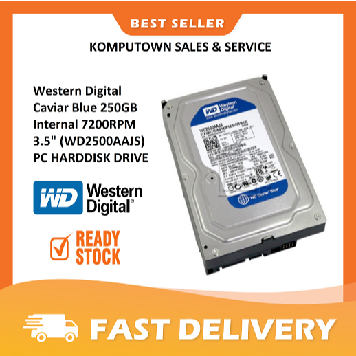 Western Digital Caviar Blue 250GB Interno 7200RPM 8.9cm (WD2500AAKX) HDD