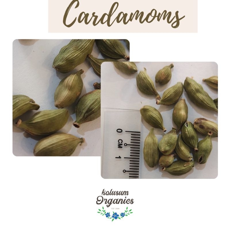 Cardamoms from India Kerala | Shopee Malaysia