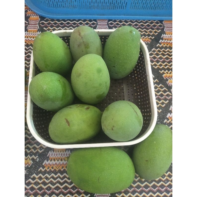 Buah pelam konen/kuinie. | Shopee Malaysia