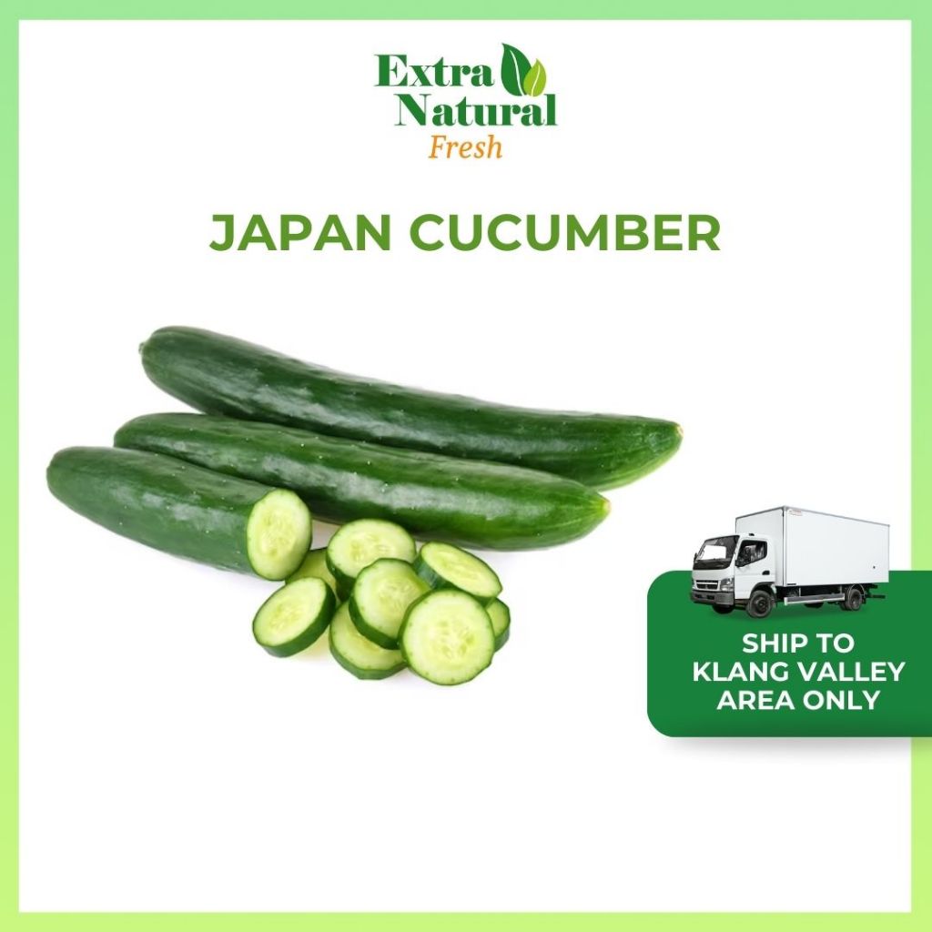 Fresh Japan Cucumber 2pcs (+/-350g) (Timun Jepun) |Fresh Vegetable ...