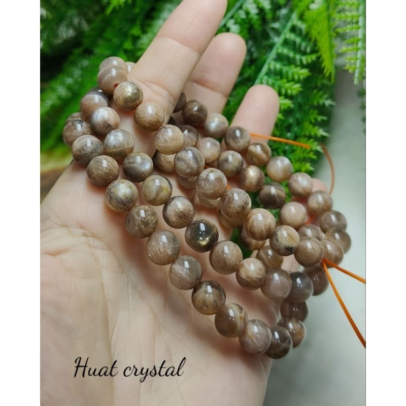 黑金骨干太阳石black skeletal sunstone | Shopee Malaysia