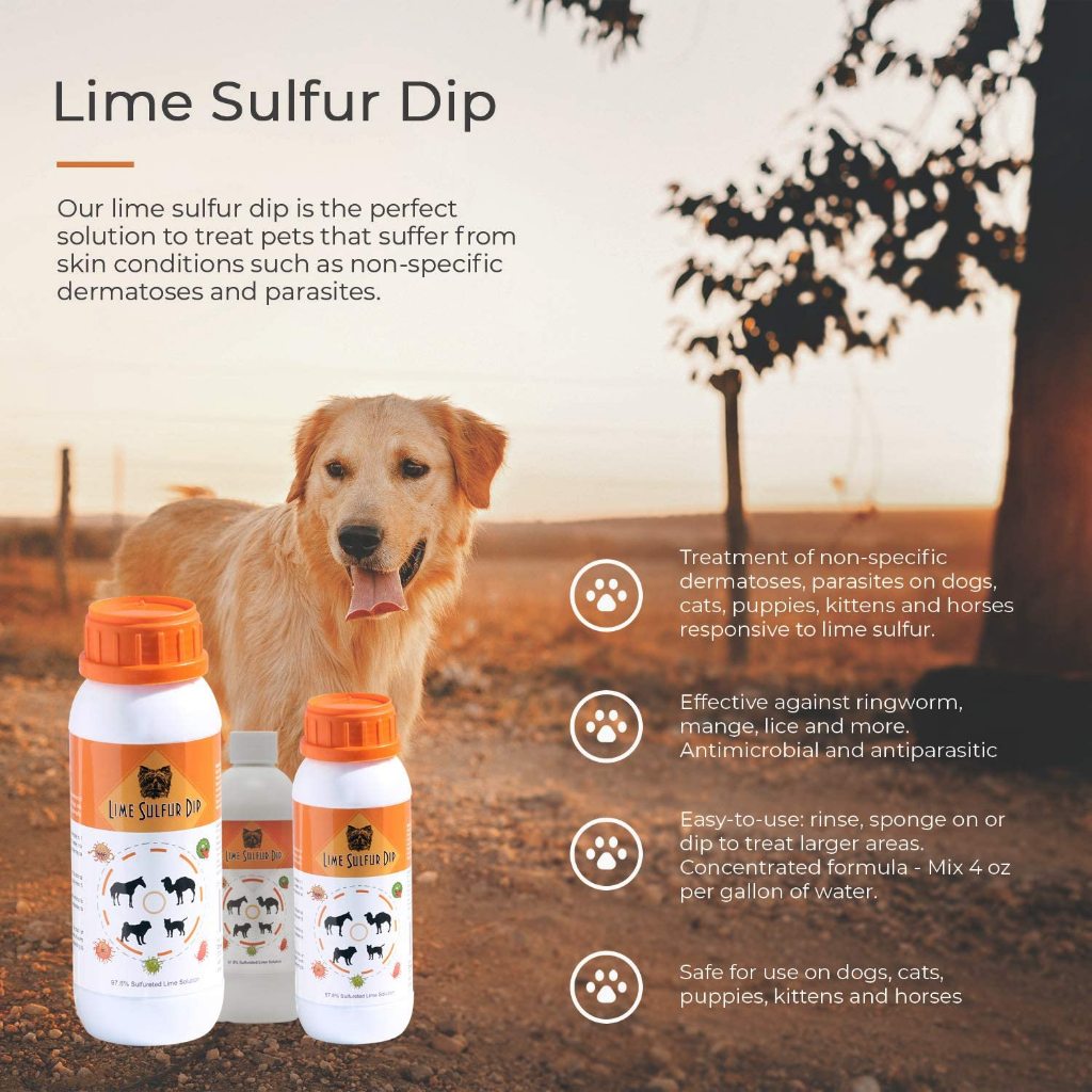 Lime sulfur dip for sarcoptic mange 2025