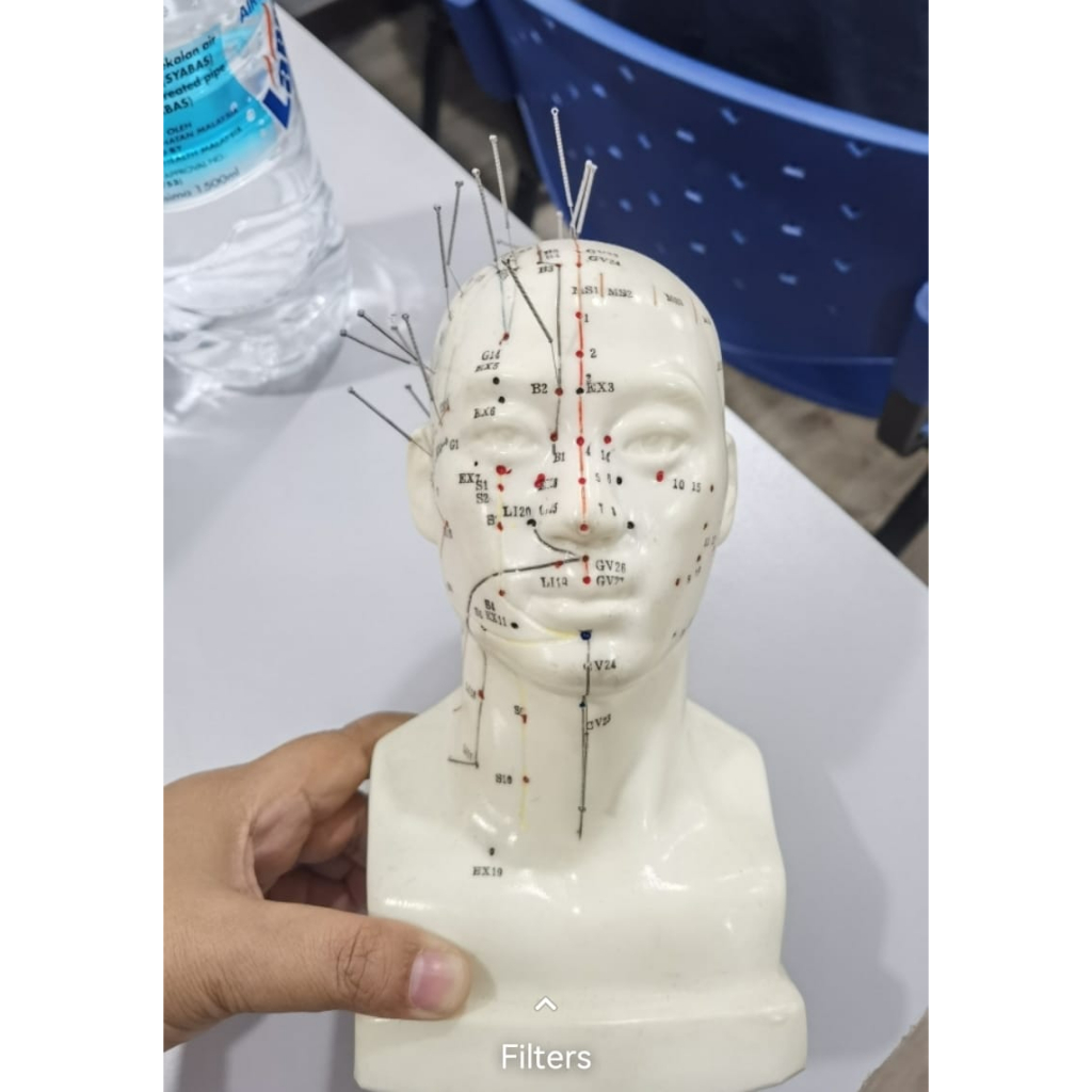 Patung Acupuncture / Model Acupuncture Tangan, Kaki, dan Kepala