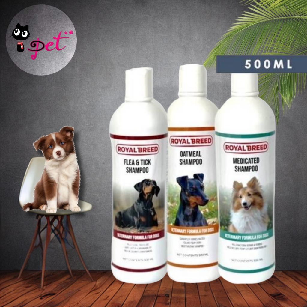 ROYAL BREED [ Oatmeal / Medicated / Flea & Ticks ] Shampoo 500ml