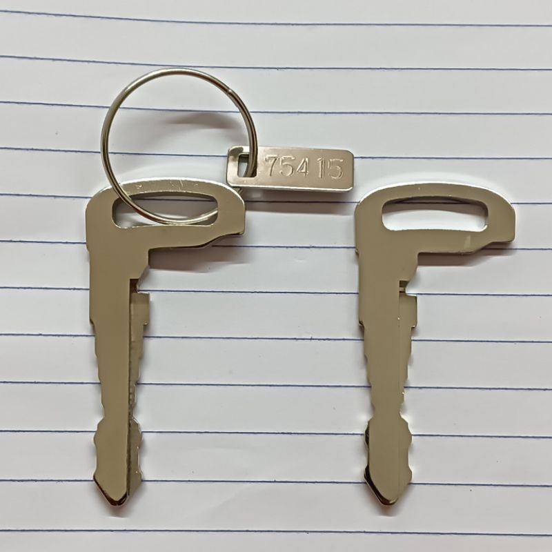 Perodua Ativa done key cutMechanical Emergency Key Blank (price per ...