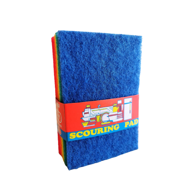 [READY STOCK] Scouring Pad Kitchen Sponge Economy Sponge (5pcs ...