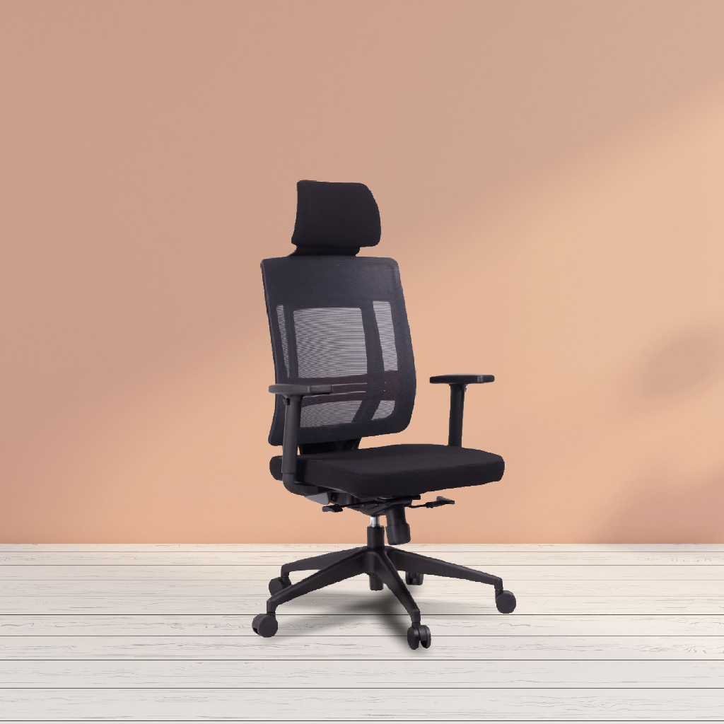 KINSHA Vertic office chair with back support and seat adjustment