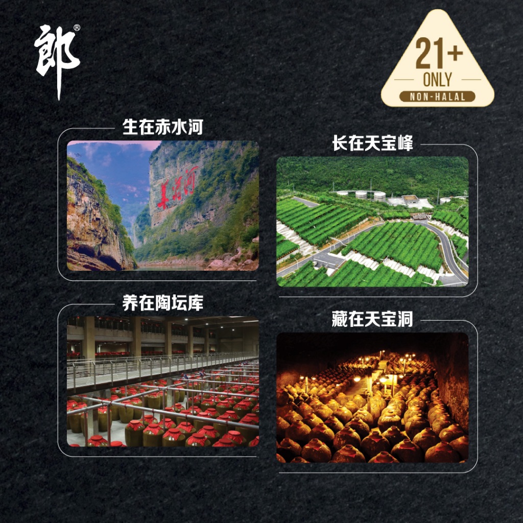 常温便】【白酒】青花郎酒 500ml×6本入 53° : 楽商事株式会社