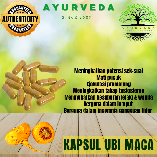 Ayurveda Kapsul Ubi/Maca 1biji*labtest approved* Shopee Malaysia