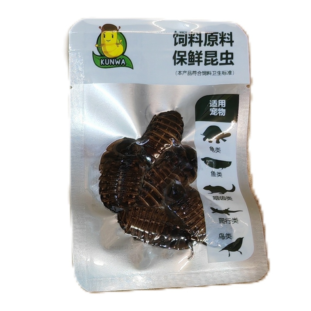 Vacuum Worm Arowana Bird Pet Food Dubia Cockroach Cricket SuperWorm