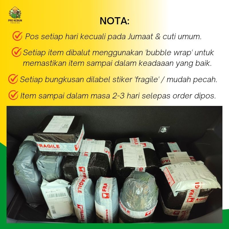Ribac 200 Herbicide Racun Rumput Padi Racun Rumput Padi Burung Racun ...