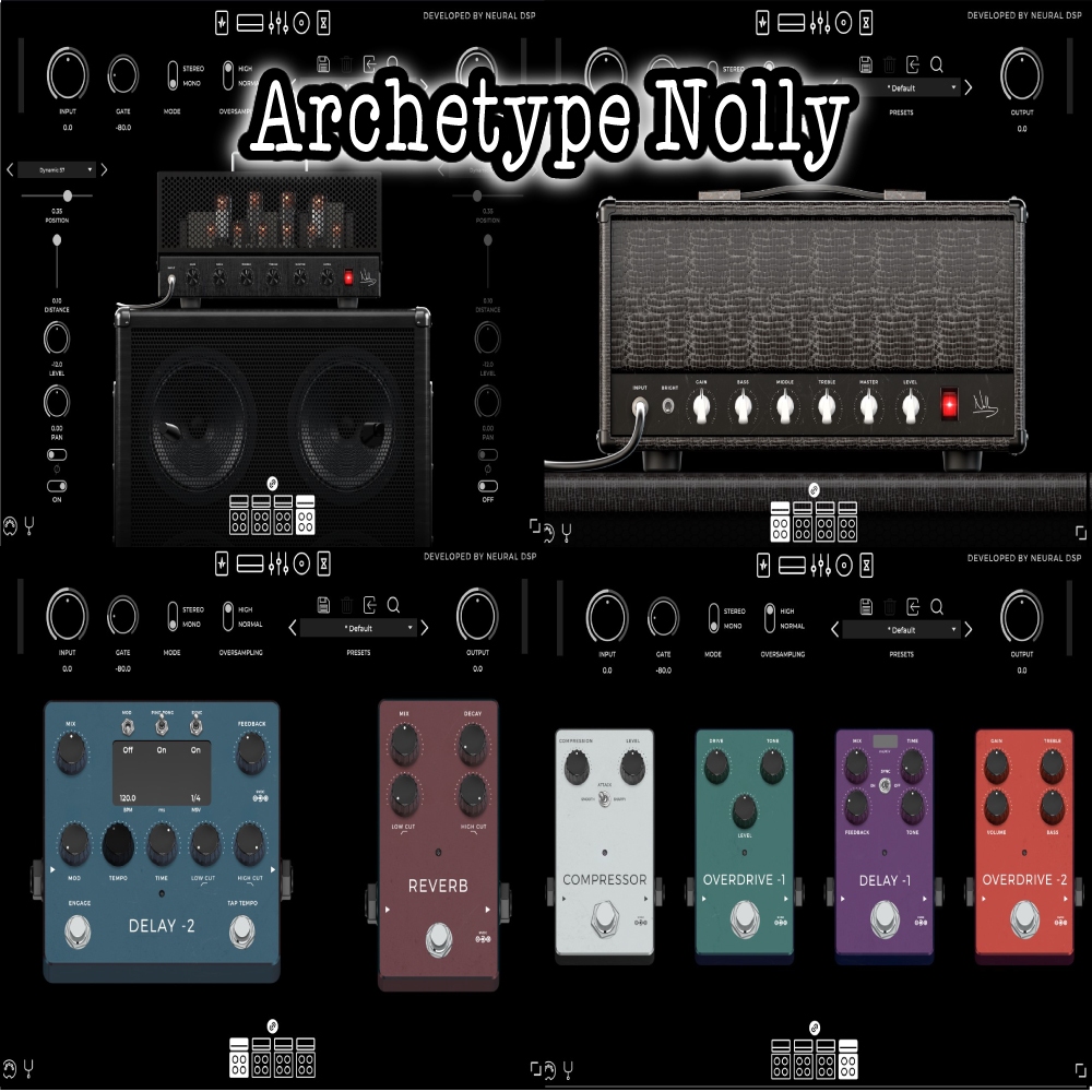 Neural DSP Archetype Nolly Guitar Effect Processing VST AAX Plugin For
