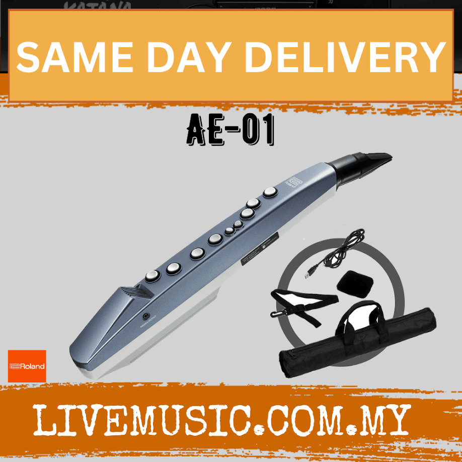 Roland Aerophone AE-01 Mini Digital Wind Instrument ( AE01 / AE 01 ...